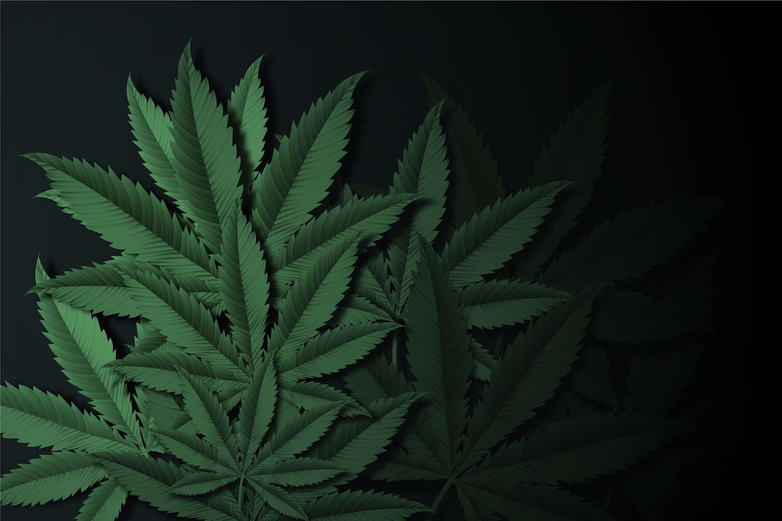 будівельні матеріали з конопель